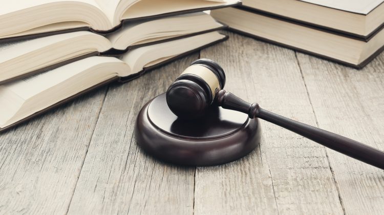 La scienza della legislazione penale