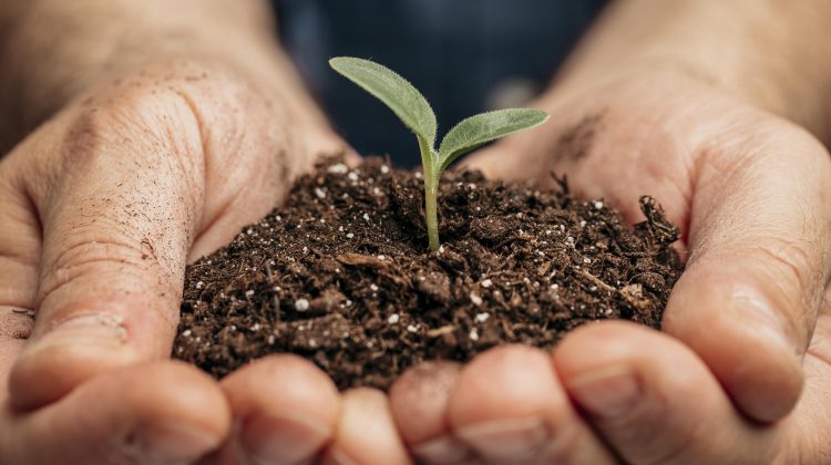 La gestione del rischio in agricoltura