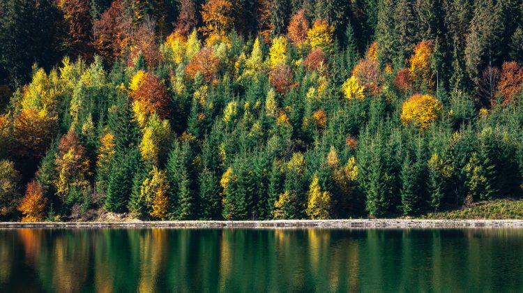 Quale formazione per il futuro delle aree naturali protette italiane?