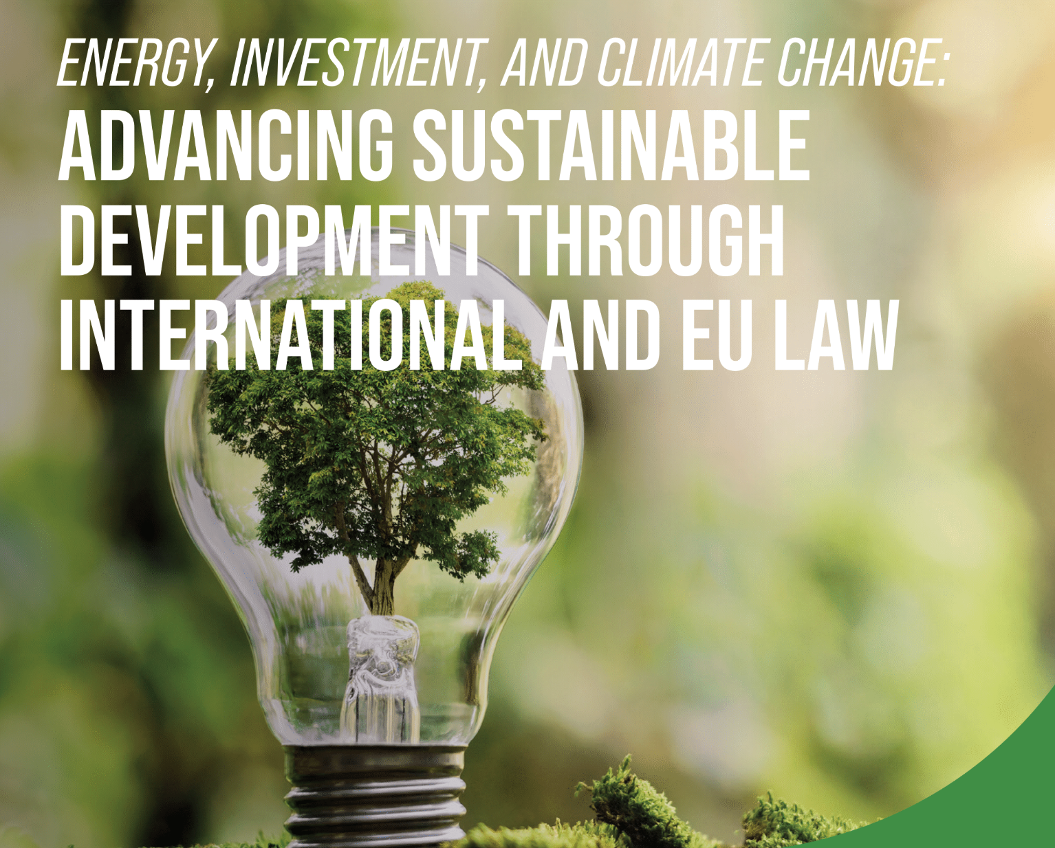 Energy, Investment, and climate change