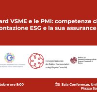 Lo standard VSME e le PMI
