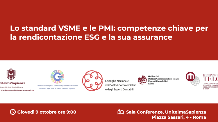 Lo standard VSME e le PMI