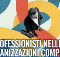 I professionisti nelle organizzazioni complesse
