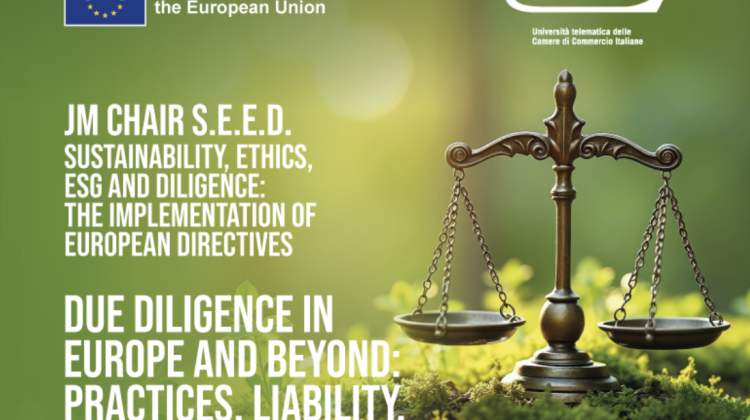 Due Diligence in Europe and Beyond: Practices, Liability, and Legal Developments